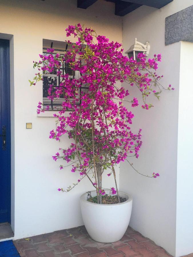 Bed and Breakfast Haritza à Anglet Extérieur photo